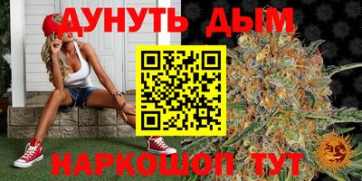 шишки Бузулук