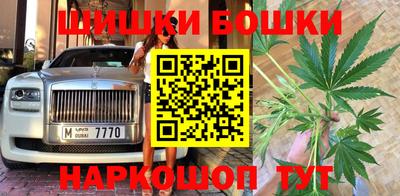 шишки Бузулук