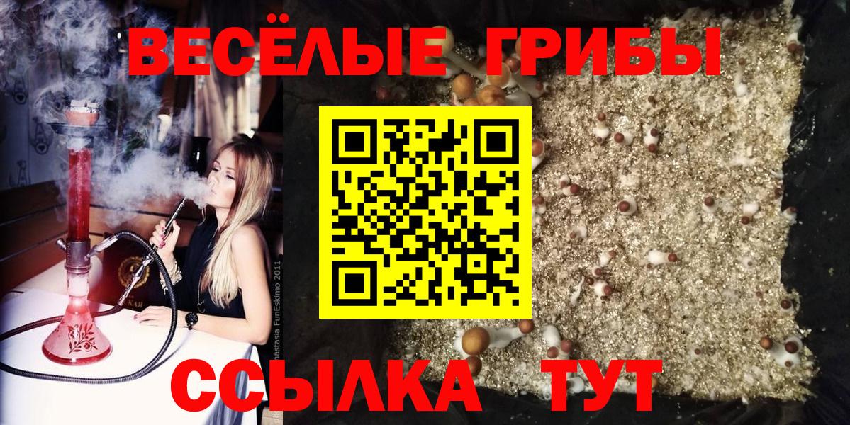 Галлюциногенные грибы мицелий  Вход с VPN  купить закладку  Кубинка 